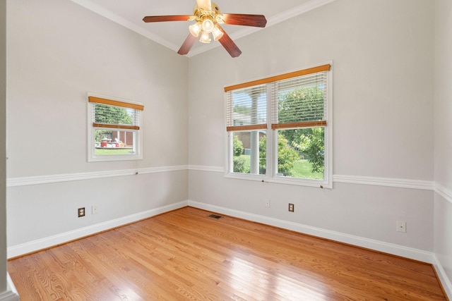 6668 S Upton Ct, Nashville, TN 37209 - photo 38