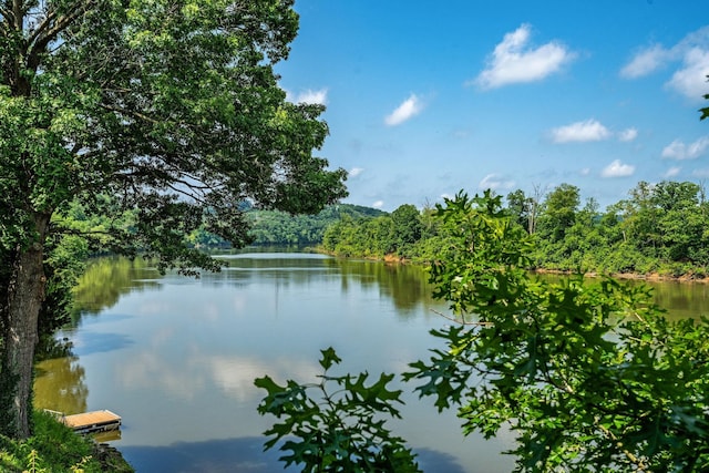 6668 S Upton Ct, Nashville, TN 37209 - photo 5