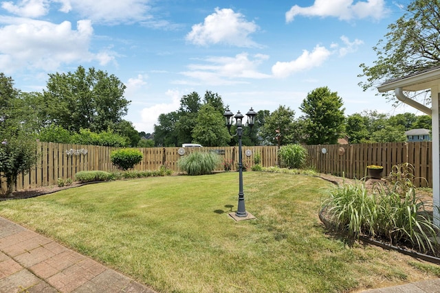 227 Riverbend Dr, Franklin, TN 37064 - view of fenced backyard