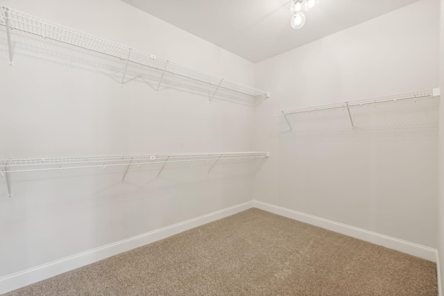 512 Smokey Rdg, Nolensville, TN 37135 - walk in closet featuring carpet flooring