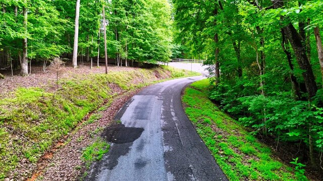 0 Wagon Wheel Rd, Cadiz, KY 42211