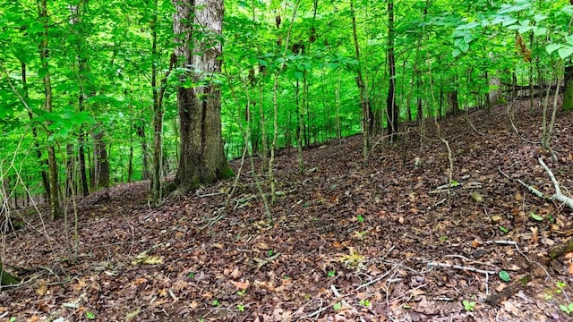 0 Wagon Wheel Rd, Cadiz, KY 42211