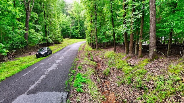 0 Wagon Wheel Rd, Cadiz, KY 42211