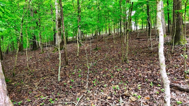 0 Wagon Wheel Rd, Cadiz, KY 42211