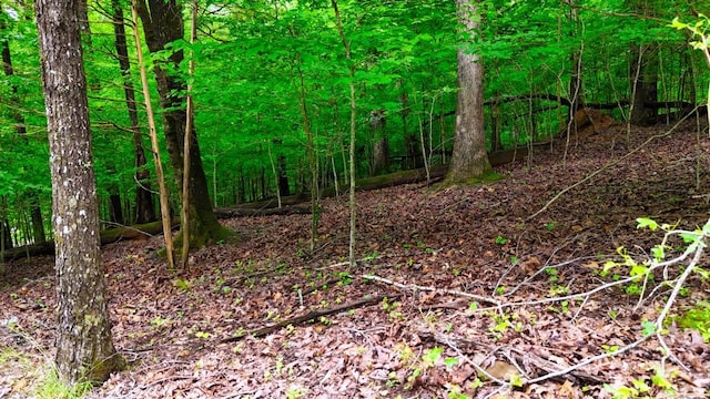 0 Wagon Wheel Rd, Cadiz, KY 42211