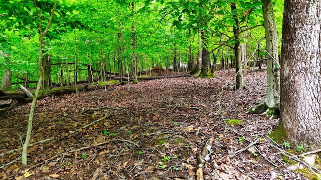 0 Wagon Wheel Rd, Cadiz, KY 42211