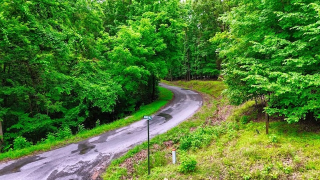 0 Wagon Wheel Rd, Cadiz, KY 42211