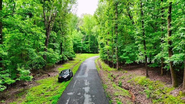 0 Wagon Wheel Rd, Cadiz, KY 42211