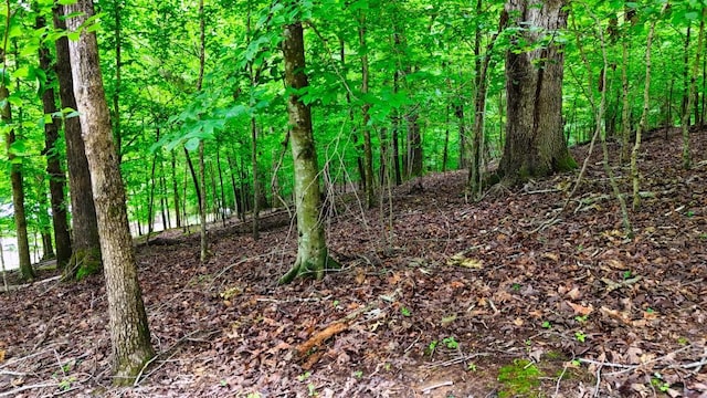 0 Wagon Wheel Rd, Cadiz, KY 42211