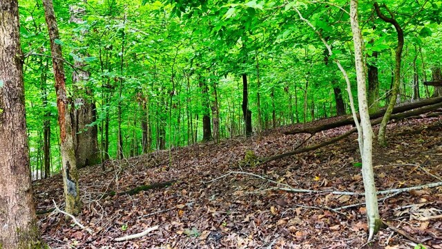 0 Wagon Wheel Rd, Cadiz, KY 42211