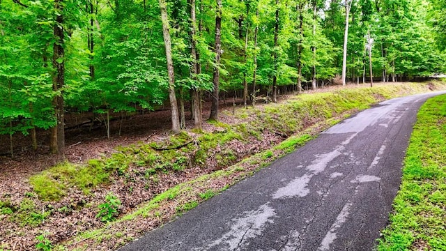 0 Wagon Wheel Rd, Cadiz, KY 42211
