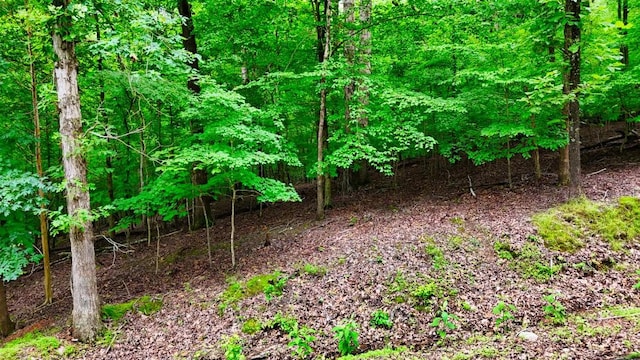 0 Wagon Wheel Rd, Cadiz, KY 42211