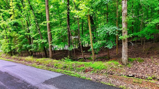 0 Wagon Wheel Rd, Cadiz, KY 42211