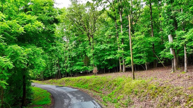 0 Wagon Wheel Rd, Cadiz, KY 42211
