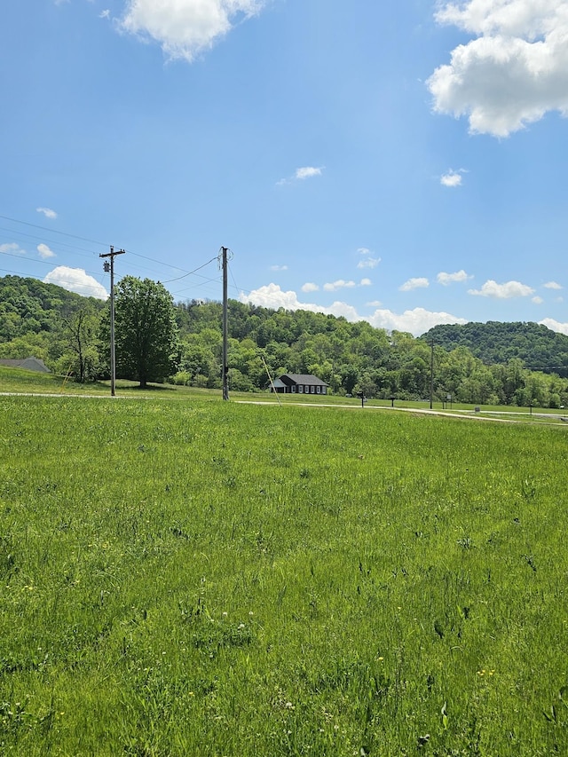 4070 Hartsville Rd, Lafayette, TN 37083 - mountain view featuring rural landscape