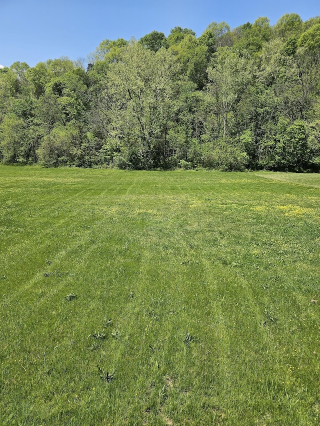 4070 Hartsville Rd, Lafayette, TN 37083 - view of grassy yard