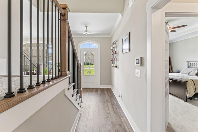 1446 Millstone Creek Rd, Lascassas, TN 37085 - entrance foyer featuring crown molding, wood-type flooring, stairs, and ceiling fan