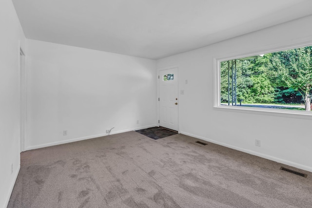1831 Woodruff Ave, Greenbrier, TN 37073 - photo 13
