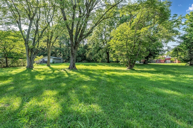 1831 Woodruff Ave, Greenbrier, TN 37073 - photo 33