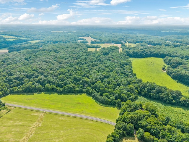 19 Gholson Rd, Clarksville, TN 37043 - photo 10