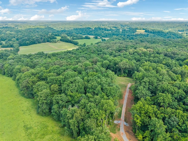 19 Gholson Rd, Clarksville, TN 37043 - photo 21