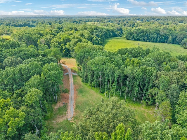 19 Gholson Rd, Clarksville, TN 37043 - photo 26
