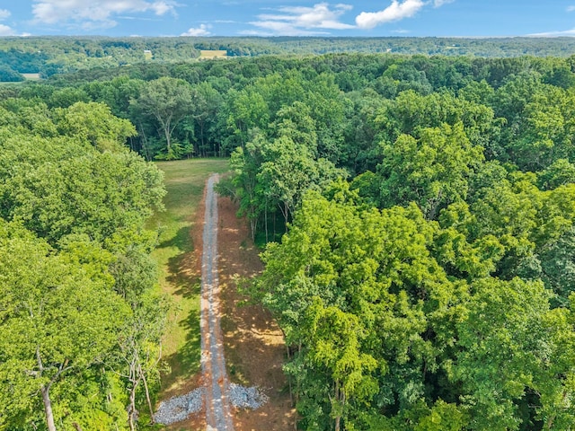 19 Gholson Rd, Clarksville, TN 37043 - photo 30