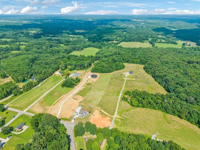 19 Gholson Rd, Clarksville, TN 37043 - photo 3
