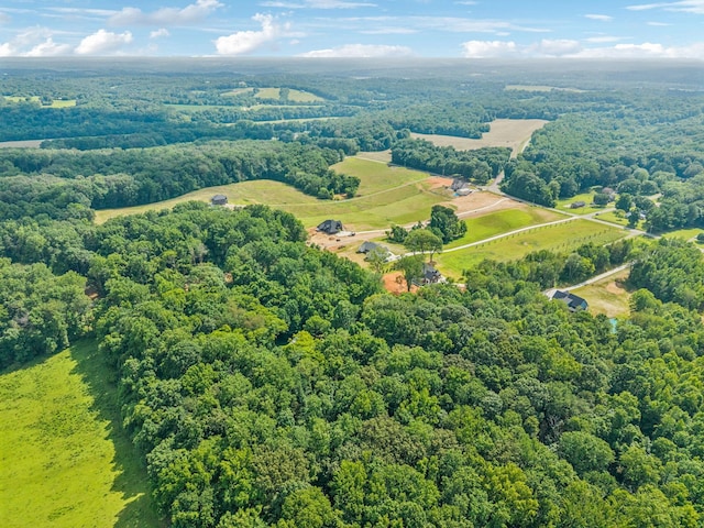 19 Gholson Rd, Clarksville, TN 37043 - photo 16