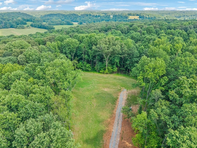 19 Gholson Rd, Clarksville, TN 37043 - photo 23