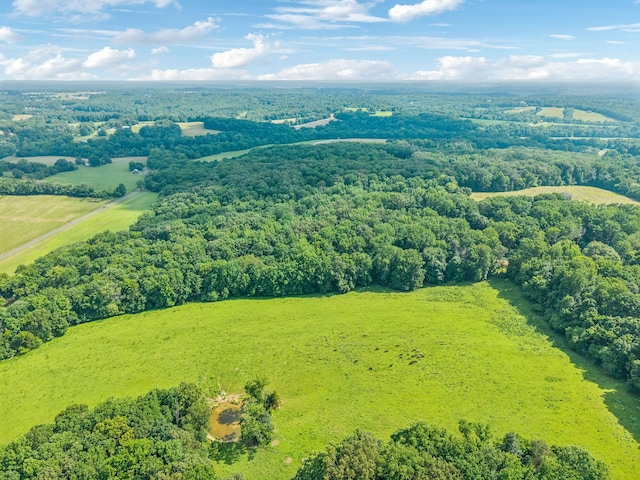 19 Gholson Rd, Clarksville, TN 37043 - photo 15