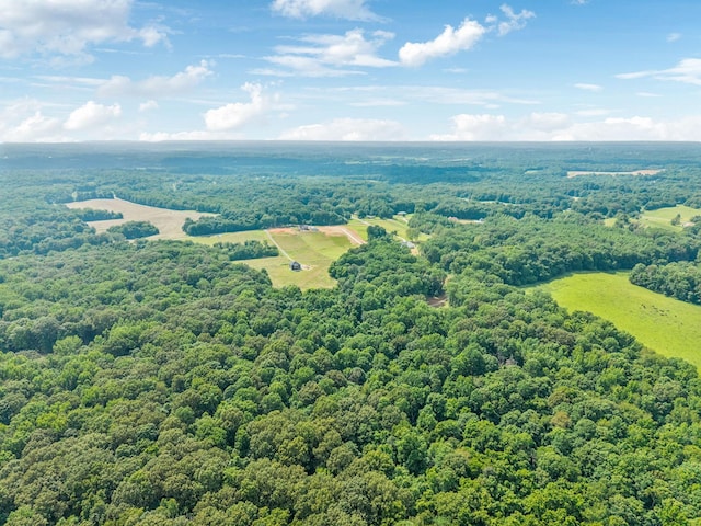 19 Gholson Rd, Clarksville, TN 37043 - photo 5