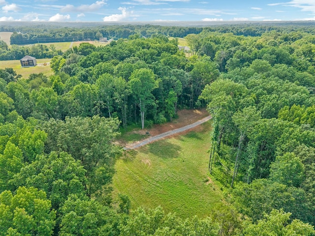 19 Gholson Rd, Clarksville, TN 37043 - photo 27