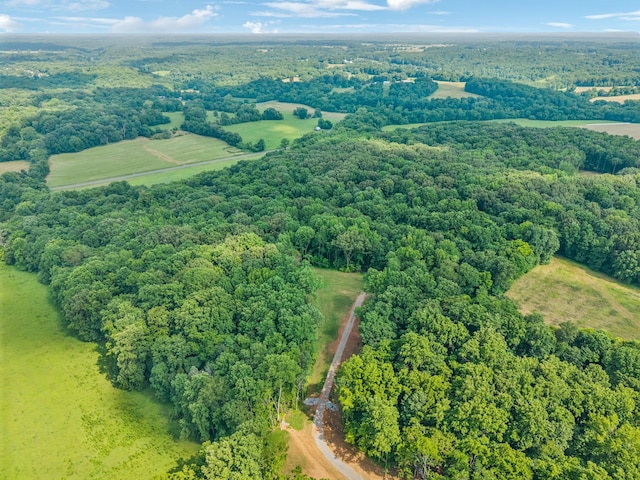 19 Gholson Rd, Clarksville, TN 37043 - photo 19