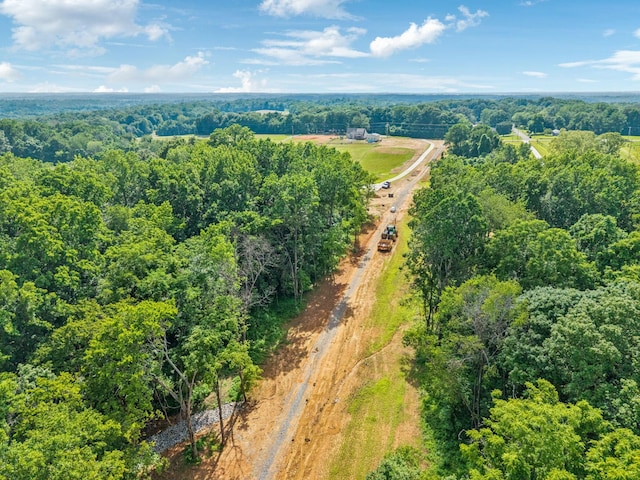 19 Gholson Rd, Clarksville, TN 37043 - photo 29