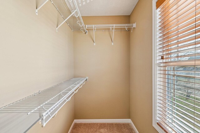 3765 Suiter Rd, Clarksville, TN 37040 - photo 29