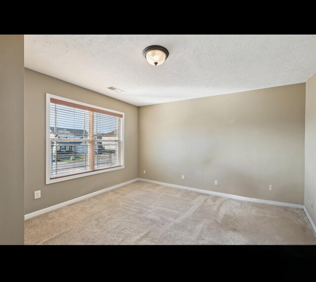 3765 Suiter Rd, Clarksville, TN 37040 - photo 28