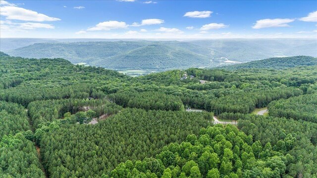 0 Crockett Pt, Jasper, TN 37347 - photo 12