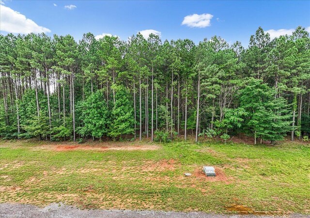 0 Crockett Pt, Jasper, TN 37347 - photo 4