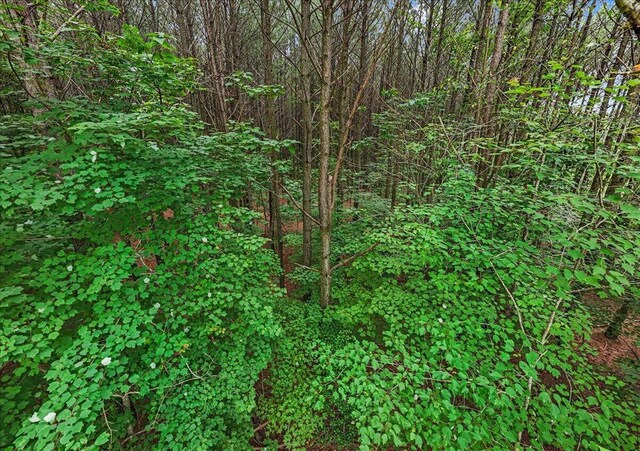 0 Crockett Pt, Jasper, TN 37347 - photo 3