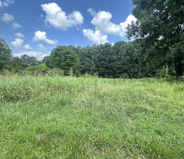 0 White Oak Dr, Leoma, TN 38468