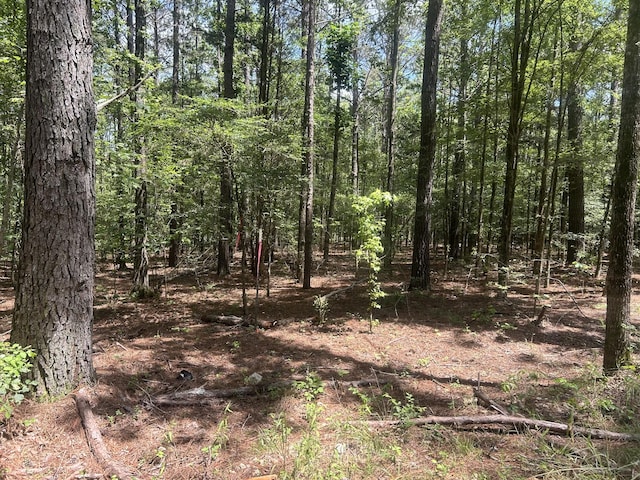 220 Raintree Dr, Big Sandy, TN 38221 - photo 5