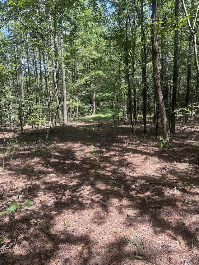 220 Raintree Dr, Big Sandy, TN 38221 - photo 6