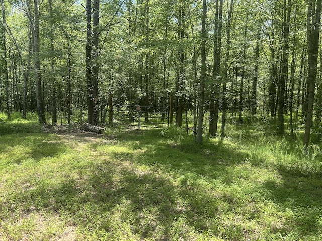 220 Raintree Dr, Big Sandy, TN 38221 - photo 2