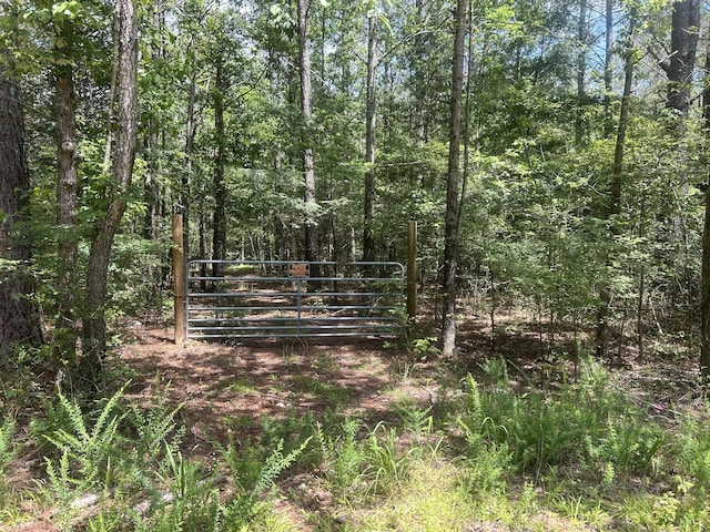 220 Raintree Dr, Big Sandy, TN 38221 - photo 1