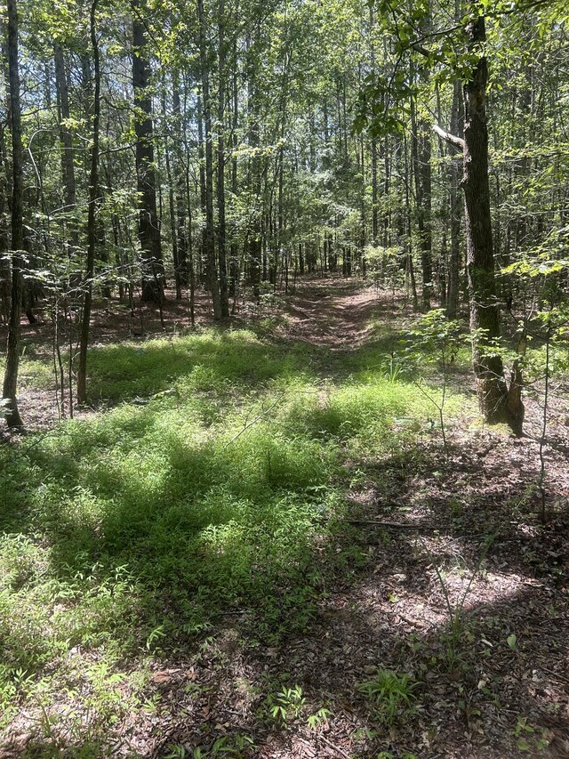 220 Raintree Dr, Big Sandy, TN 38221 - photo 9