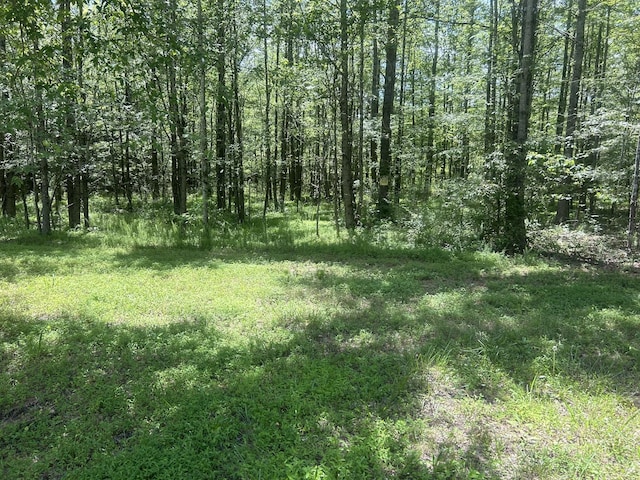 220 Raintree Dr, Big Sandy, TN 38221 - photo 3