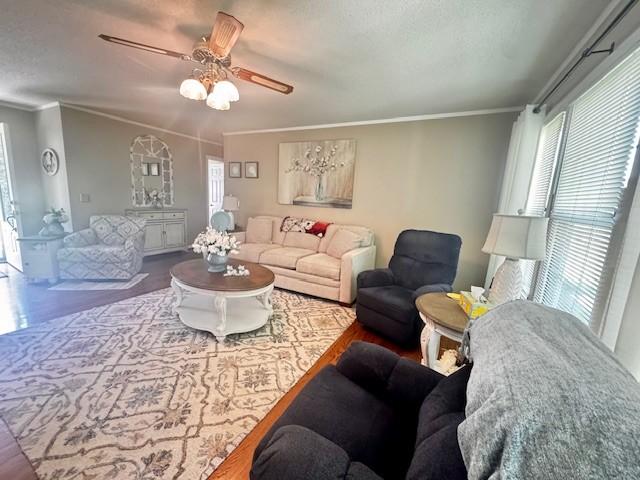 570 Gaines Cir, Estill Springs, TN 37330 - living area with crown molding, wood finished floors, a ceiling fan, and a textured ceiling