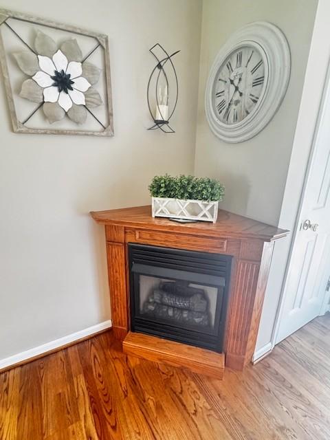 570 Gaines Cir, Estill Springs, TN 37330 - detailed view of a glass covered fireplace and wood finished floors