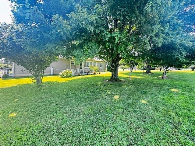 570 Gaines Cir, Estill Springs, TN 37330 - view of green lawn